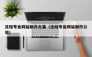 永康沈阳专业网站制作方案（沈阳专业网站制作公司）